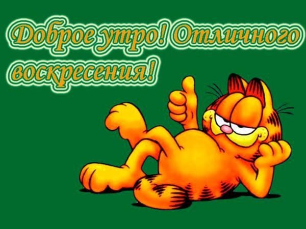 Прикольные поздравления с воскресеньем