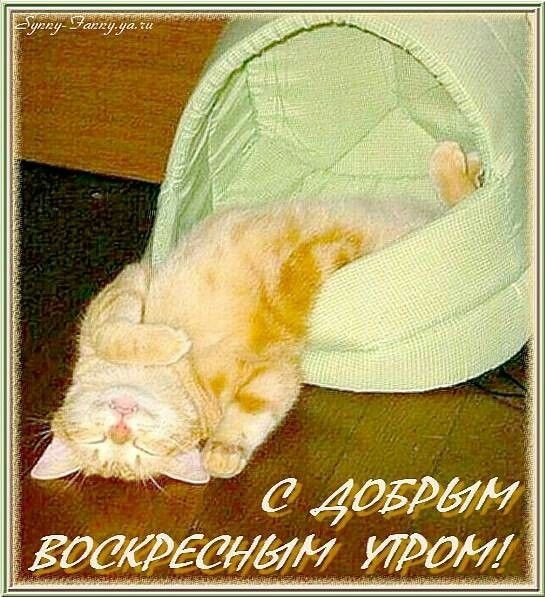 Ленивое воскресенье