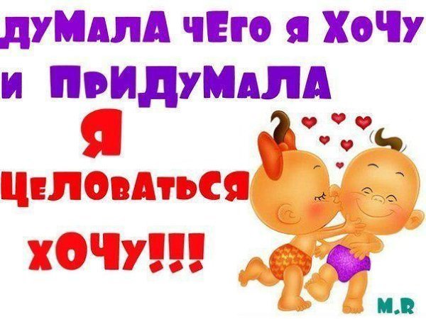 Смешные котята со словами