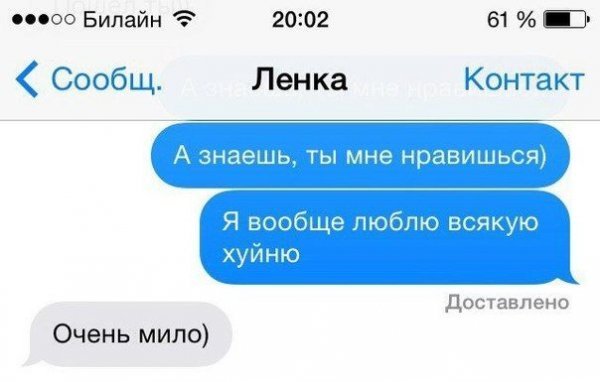 Приколы про ленку