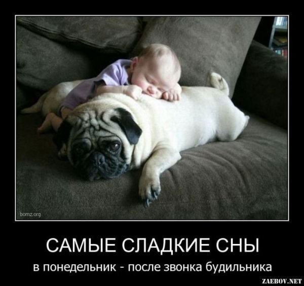 Приколы про сон