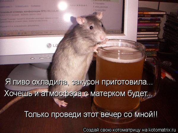 Смешные картинки про среду