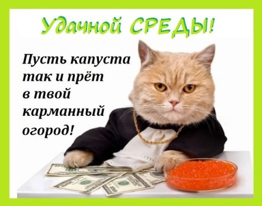 Удачной среды прикольные