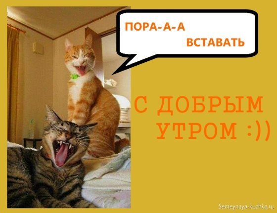 Утро пора вставать