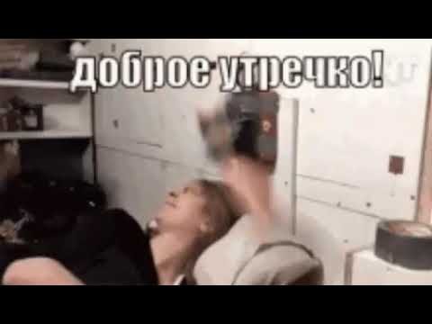 Гифка проснулся