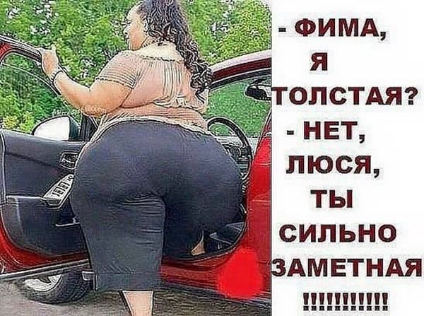 Приколы про толстых девушек