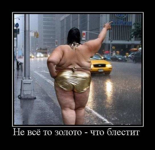 Толстые люди демотиватор