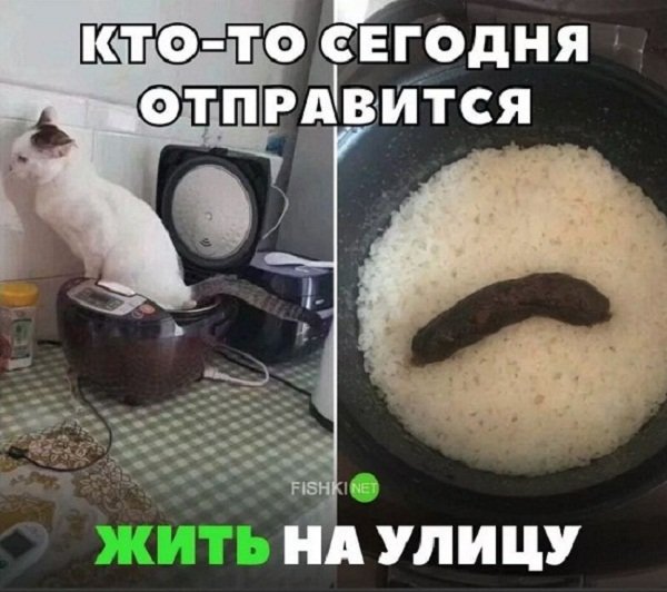 Юмор до слёз для поднятия настроения