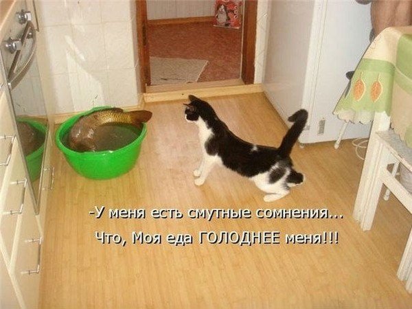 Приколы с подписью для настроения