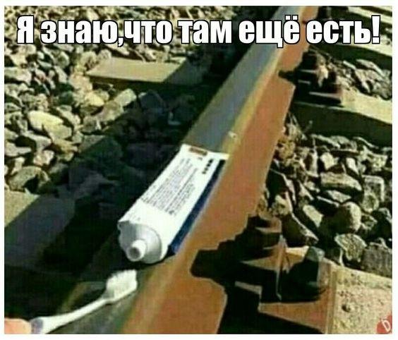 Существуют два типа рыбаков