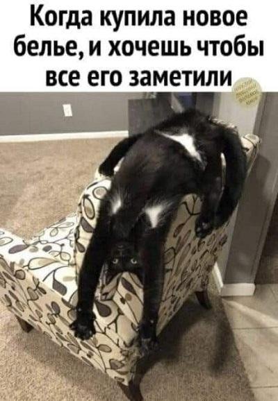 Угарные мемы с надписями до слез