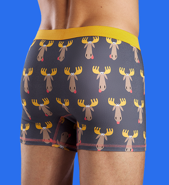 Боксеры 2131285 Orion