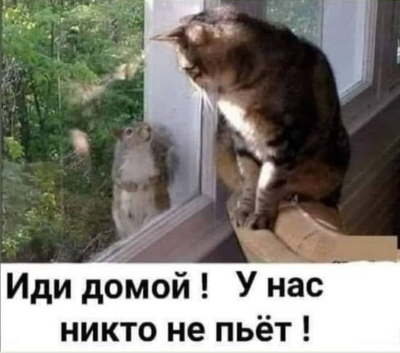 Мемы про Россию