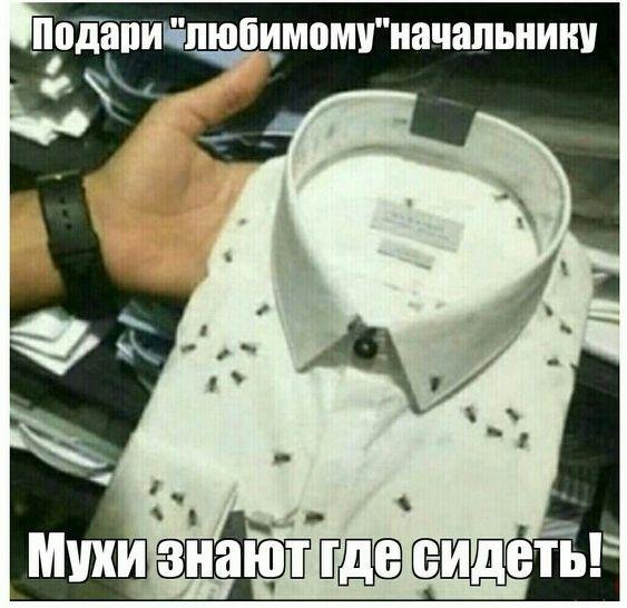 Красиво жить не запретишь юмор