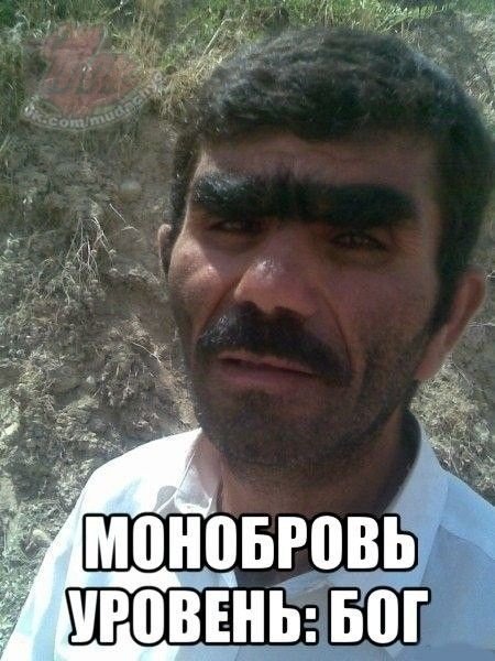 Шутки про армян