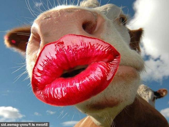 Картинки с Днем поцелуя 6 июля с поцелуйчиками для ВК, Одноклассников, Фейсбука
