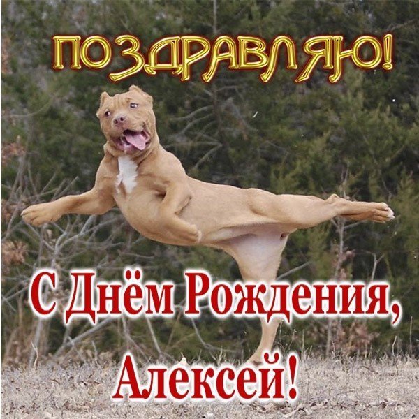 Поздравления с днём рождения Алексею