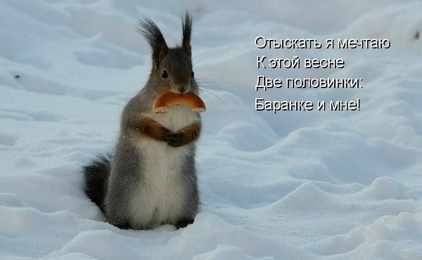 Скучаю приколы картинки