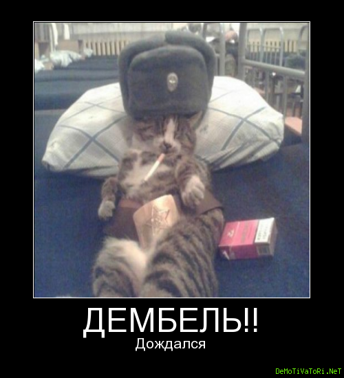 Дембель прикол