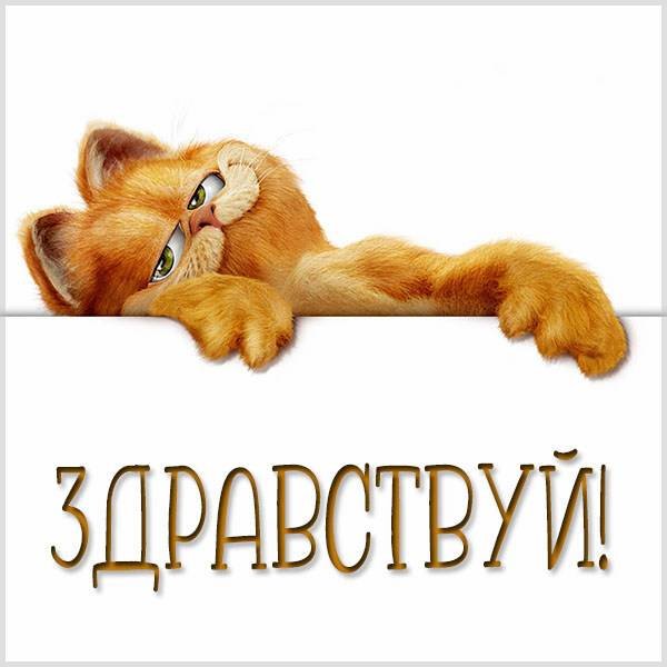 Здравствуйте картинки с надписями