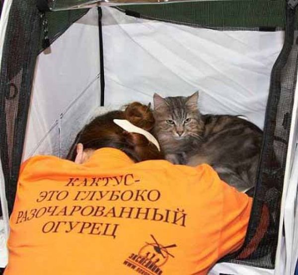 Приколы с надписями
