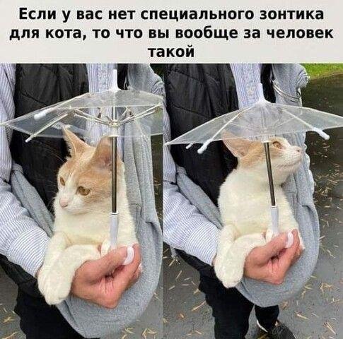 Отпадные картинки