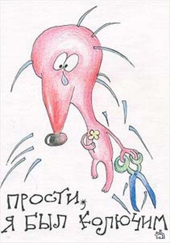 Прости меня картинки прикольные