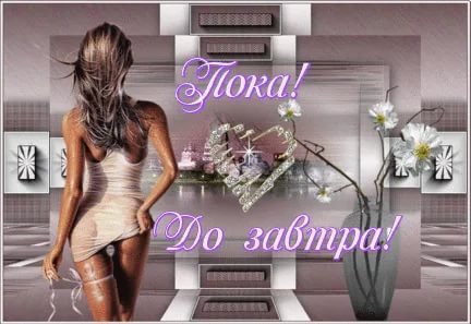 Пока до завтра
