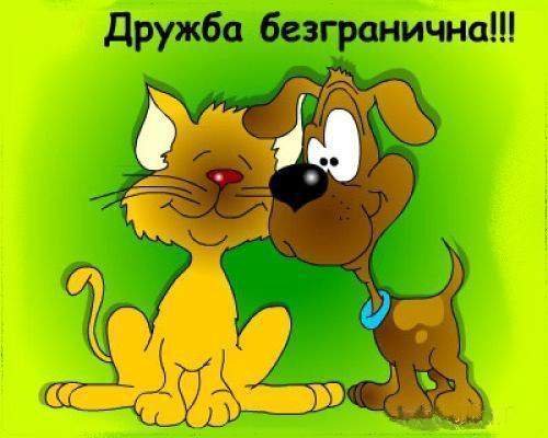 Открытки про дружбу прикольные