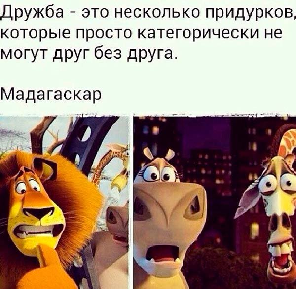 Приколы про дружбу