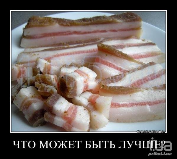 Шутки про сало