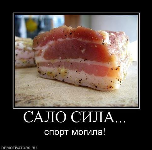 Сало сила спорт могила