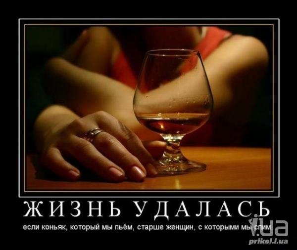 Демотиватор жизнь удалась