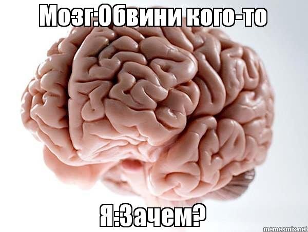 Мозги Мем