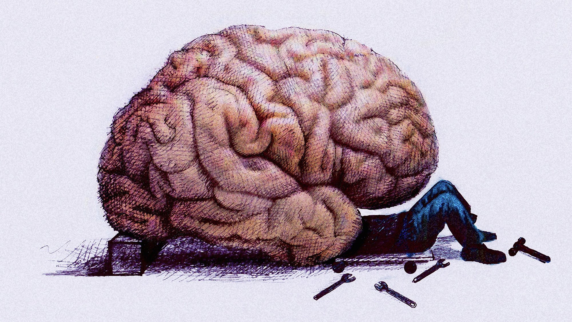 Мозг красивые картинки