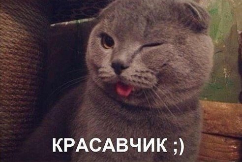 Ты красавчик
