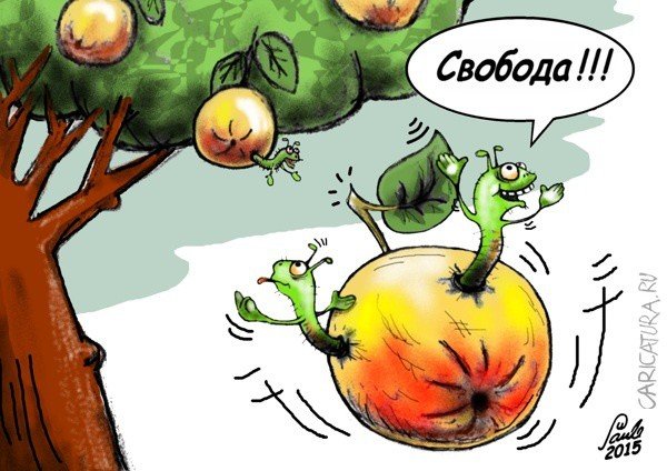 Яблоко прикол