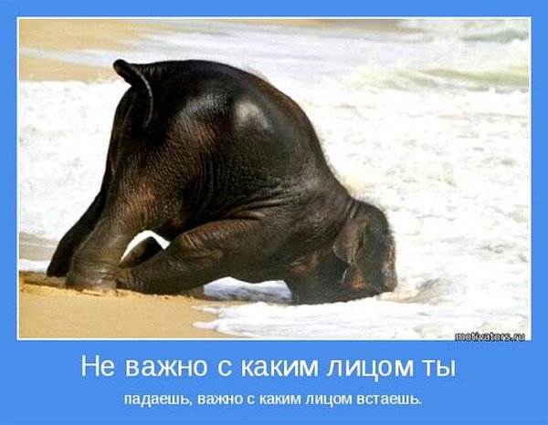 Смешной мотиватор