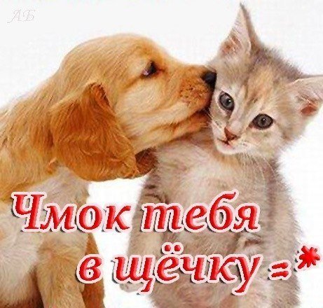 Я тебя чмок