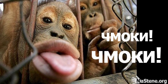 Чмоки-чмоки в обе щеки