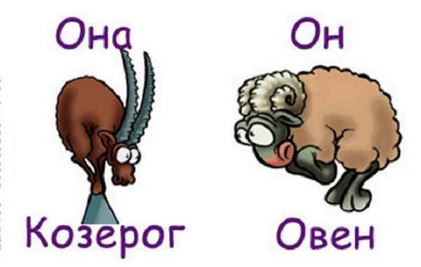Козерог прикольный гороскоп для женщины