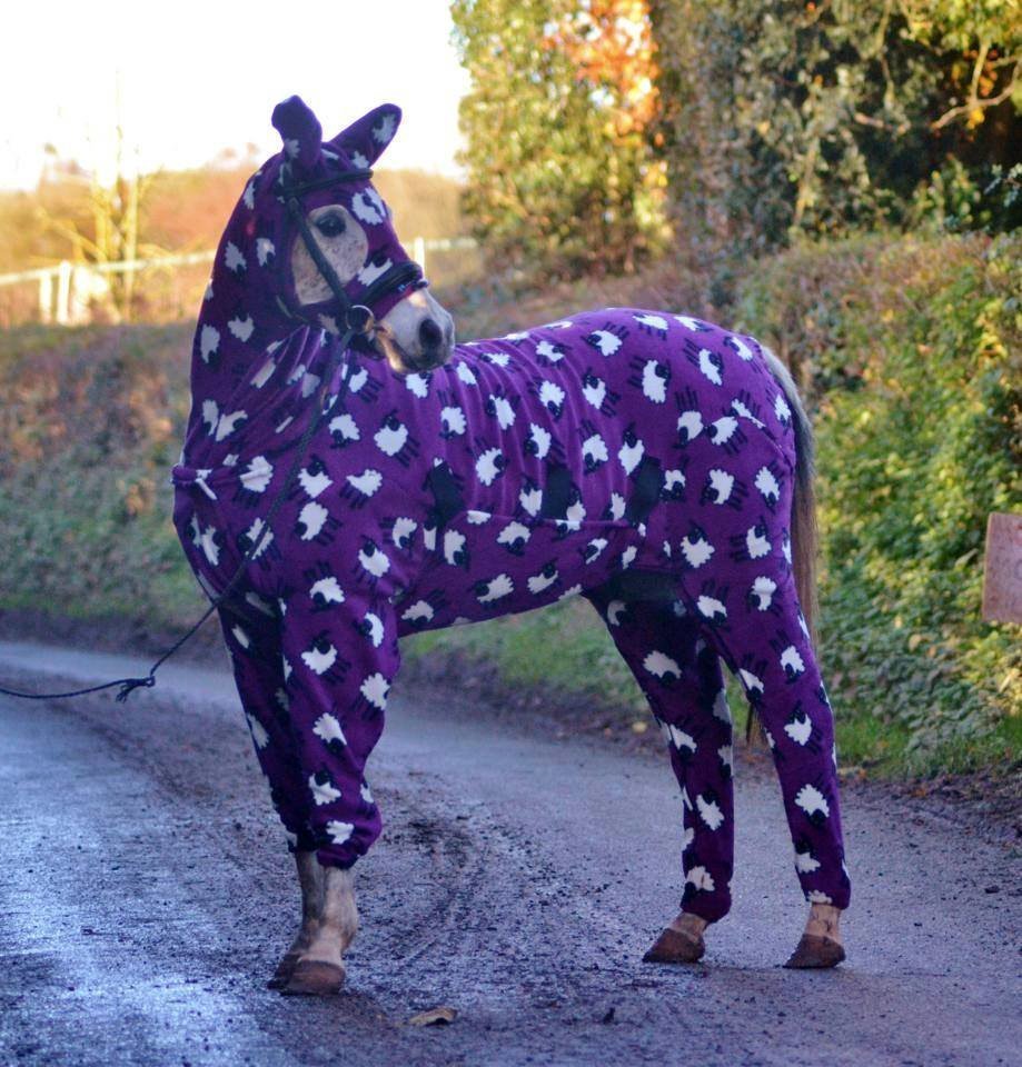 Пижама лошадь