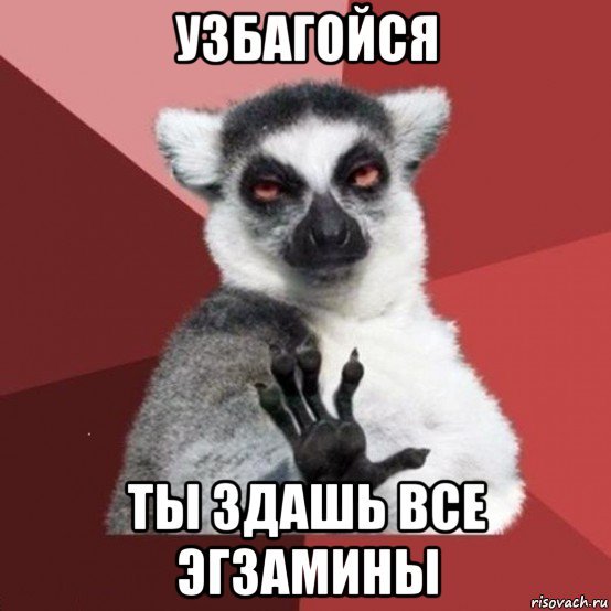 Узбагойся мемы