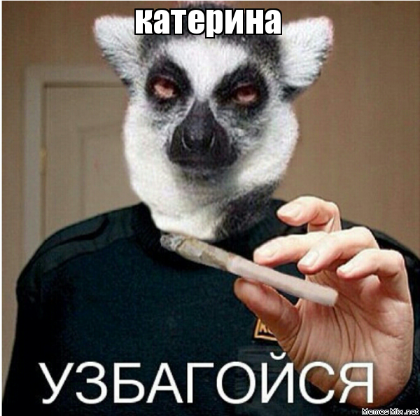 Лемур узбагойся