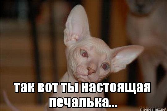 Печалька надпись