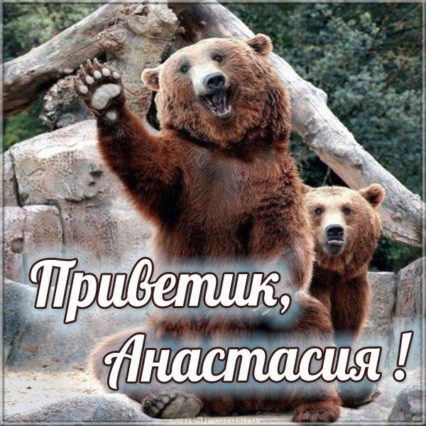 Статус Приветствие
