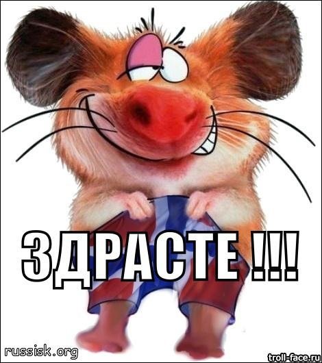 Открытки привет