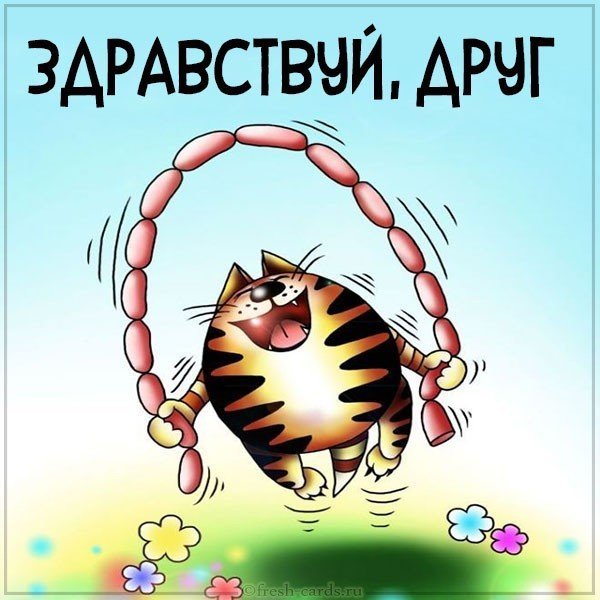 Прикольные анимационные открытки
