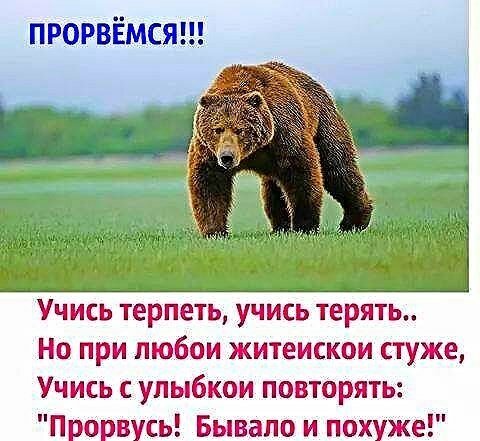 Открытка Прорвемся прикольная