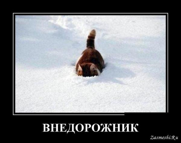 Демотиватор Прорвемся